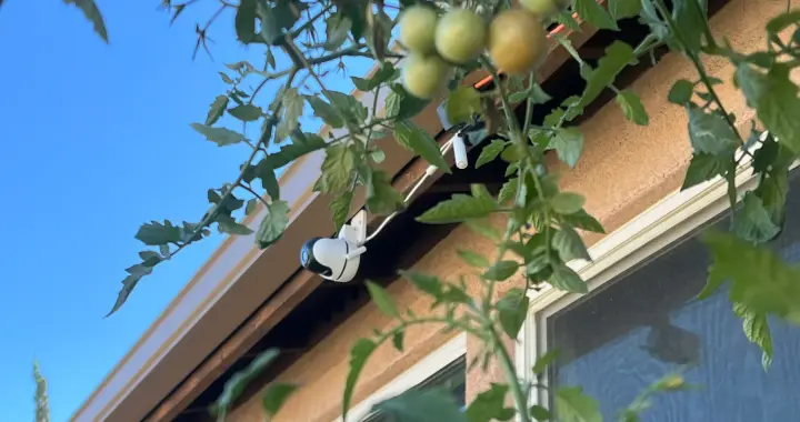 Outdoor security camera overlooking a garden