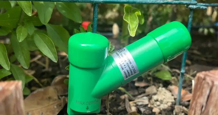 Garden watering and moisture-checking setup